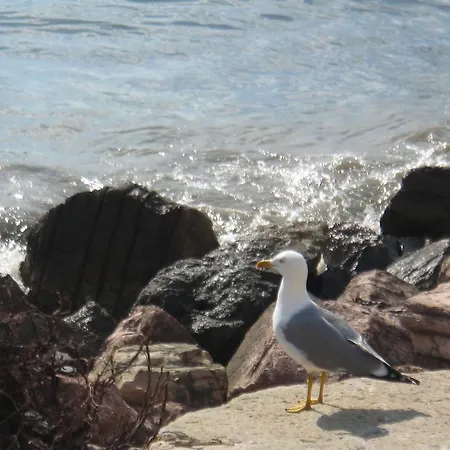 アパート Manuela マリネッラ・ディ・サルザーナ